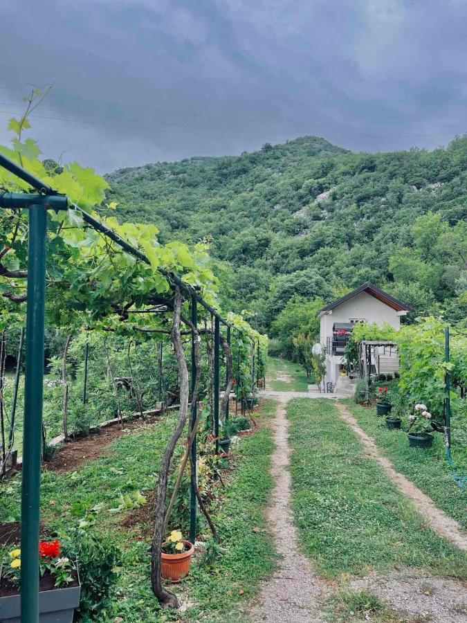 Hotel Auto Camp Radoman Virpazar Zewnętrze zdjęcie